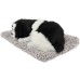 VOILA Sleeping Cute Dog for Car Dashboard and Home Decor with Activated Carbon for Decoration Toy Decorative Showpiece